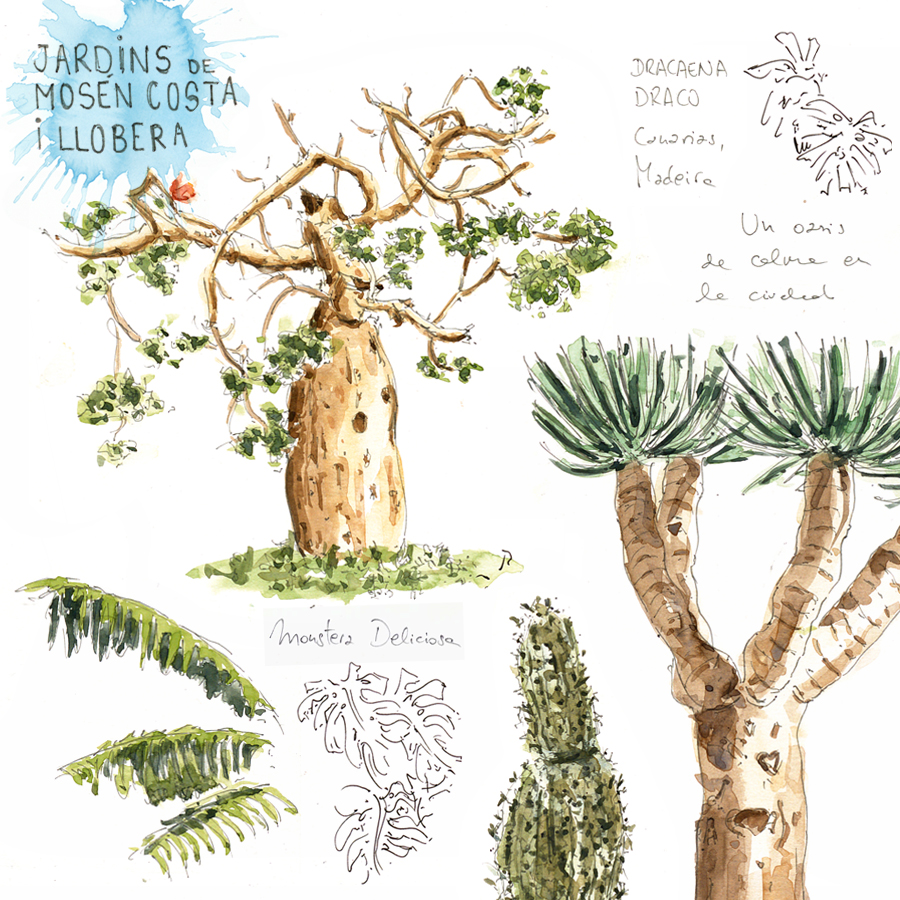 jardins mossen costa i llovera